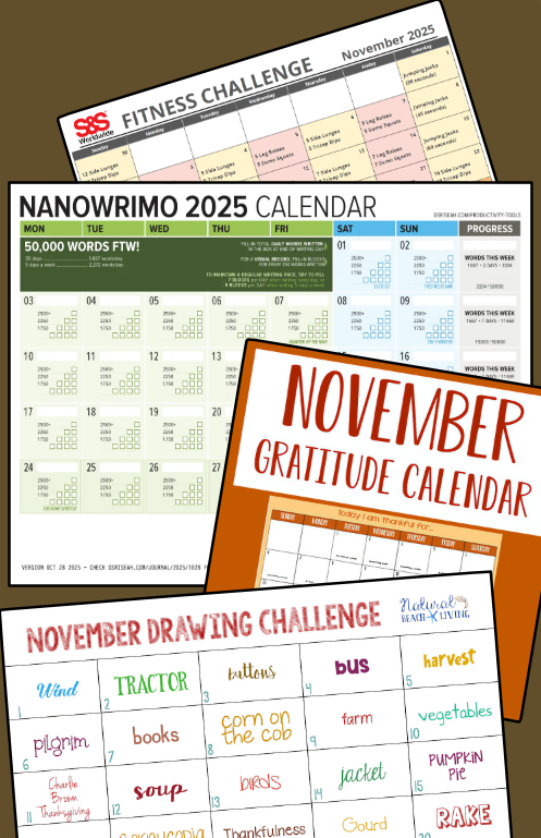 Sample calendars from a variety of November challenges.